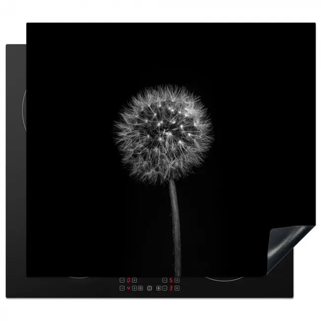 Protection plaque induction - Nuit étoilée de Dandelion