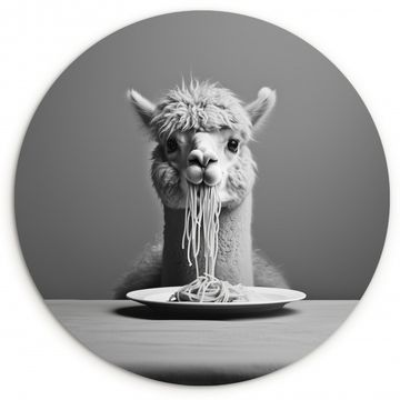Tableau rond - Alpaga - Pâtes - Noir - Blanc - Drôle - Animaux