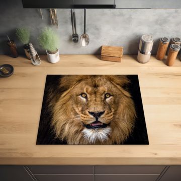Protection plaque induction - Visage du Serengeti
