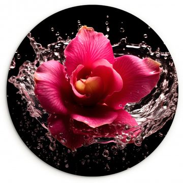 Tableau rond - Fleurs - Rose - Eau - Noir - Botanique - Nature