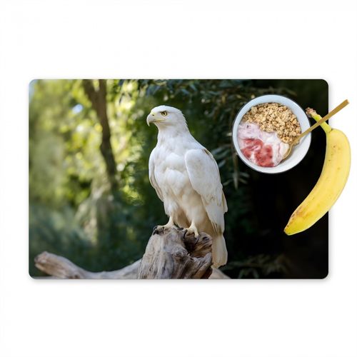 Aigle - Bois - Blanc - Plantes