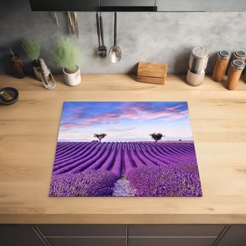 Protection plaque induction - Les lignes de lavande jouent au crépuscule