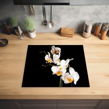 Protection plaque induction - Branche de l'orchidée céleste
