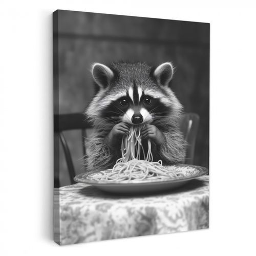 Raton laveur - Mignon - Pâtes - Nappe - Noir - Blanc
