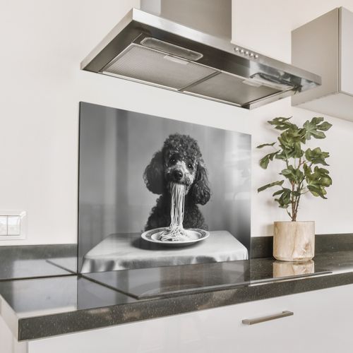 Fond de hotte - Caniche - Chien - Noir - Blanc - Mignon - Pâtes
