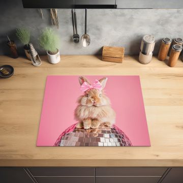 Protection plaque induction - Arc - Discoball - Lapin