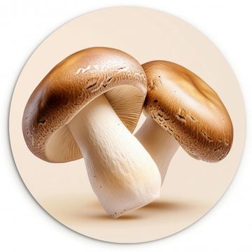 Tableau rond - Champignons - Doux - Beige