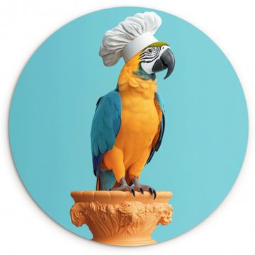 Tableau rond - Perroquet - Chapeau de cuisinier - Drôle - Oiseau