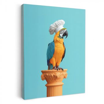 Tableau sur toile - Perroquet - Toque - Drôle - Oiseau