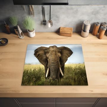 Protection plaque induction - Géant de la savane