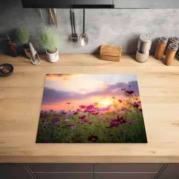 Protection plaque induction - Cosmos au coucher du soleil