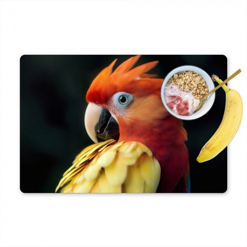 Gros plan - Perroquet - Plumes - Orange