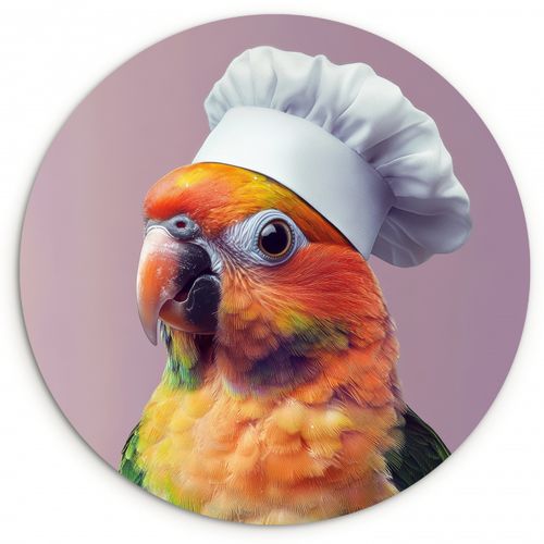 Tableau rond - Perroquet - Toque - Curieux - Oiseau