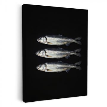 Tableau sur toile - Hareng - Poisson - Noir