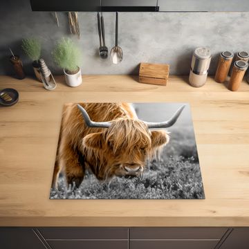 Protection plaque induction - Nuances d'automne dans les Highlands