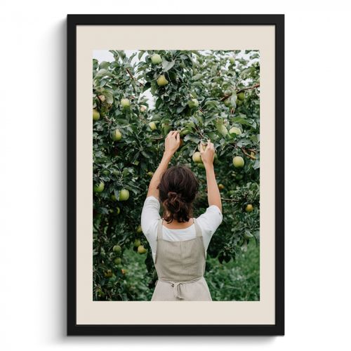 Cadre Photo - Arbre - Pommes - Cueillette - Nature