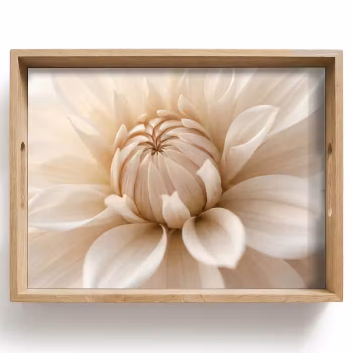 Plateau - Fleur - Dahlia - Blanc
