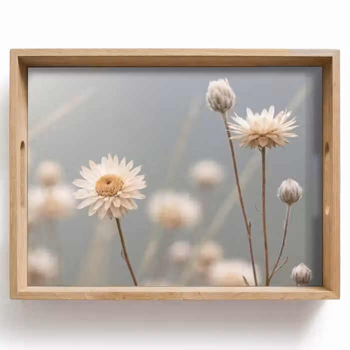Plateau - Fleurs de paille - Blanc - Lumière du jour