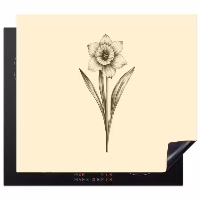 Protection plaque induction - Noir - Jonquille - Illustration