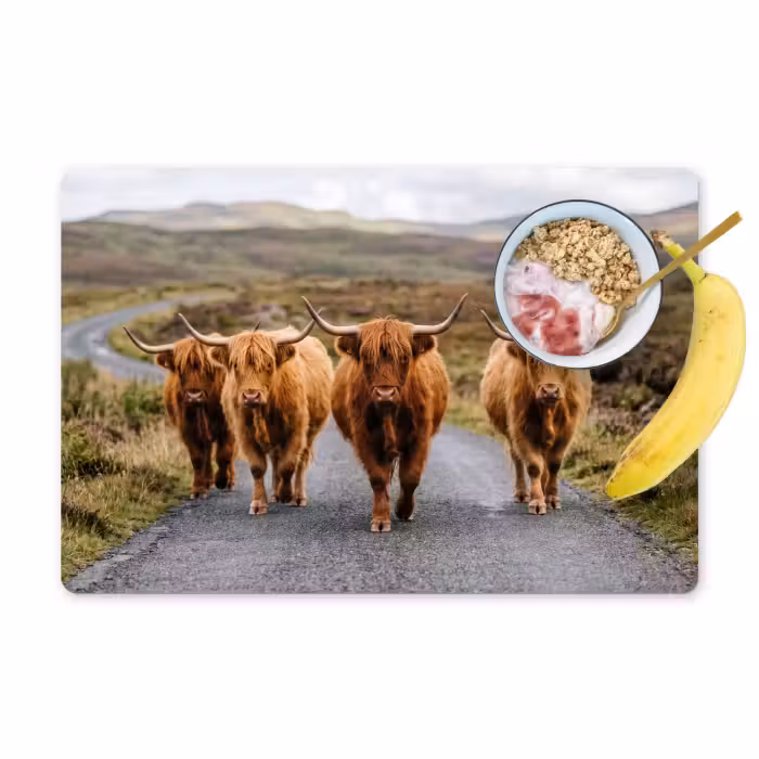 Set de table – 6 pièces - Scottish Highlanders - Route - Paysage - Troupeau
