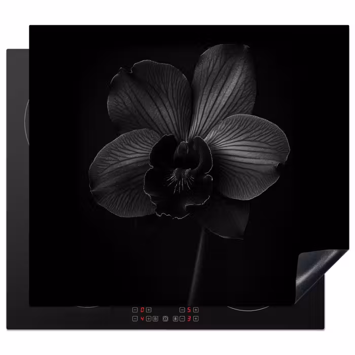 Protection plaque induction - Noir - Fleur - Orchidée