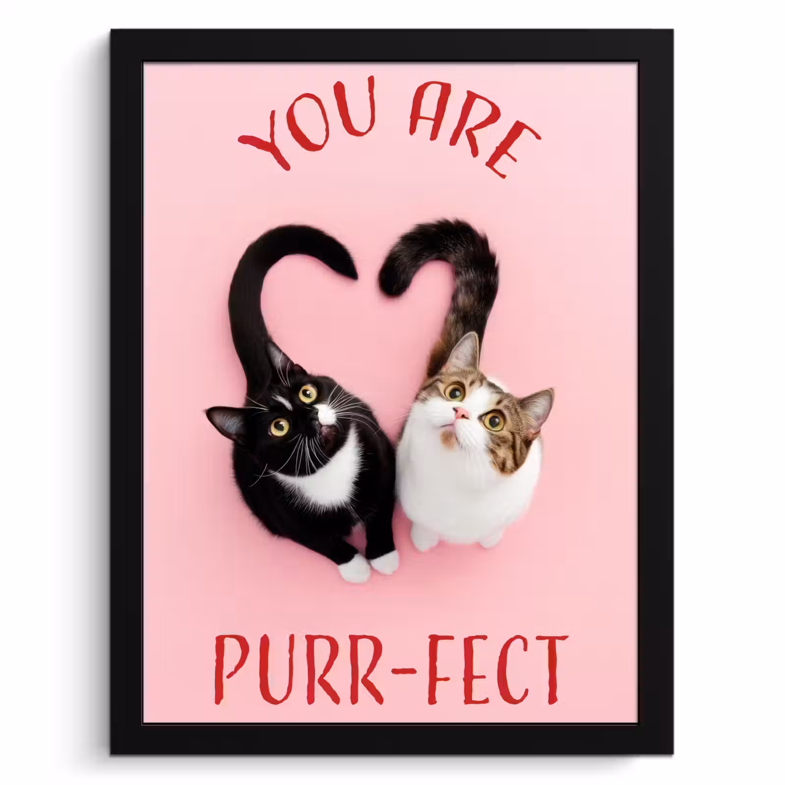 Cadre Photo - Chat - Coeur - Texte - Valentin — 1