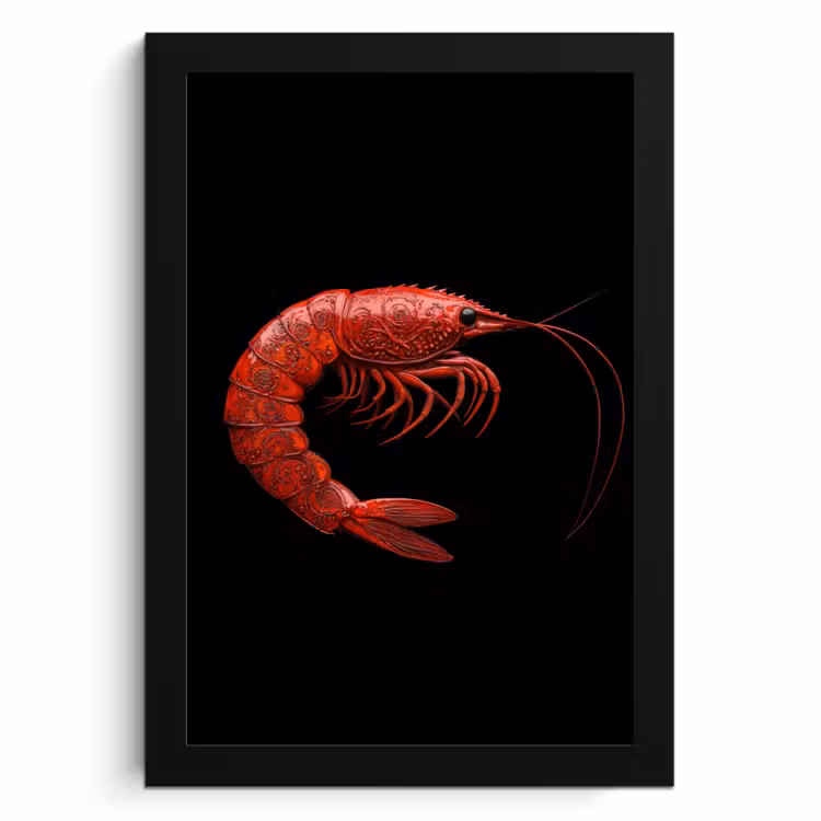 Cadre Photo - Crevette - Rouge - Animaux — 1