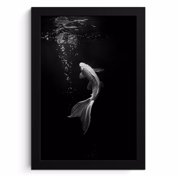 Cadre Photo - Koi - Poisson - Blanc - Noir — 1