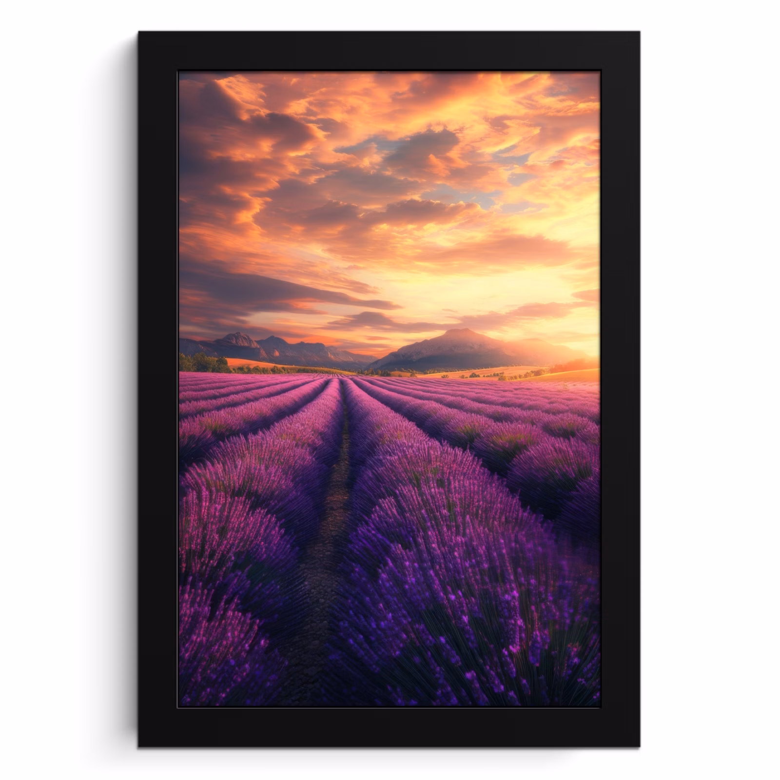 Cadre Photo - Champ de lavande - Coucher de soleil - Violet — 1