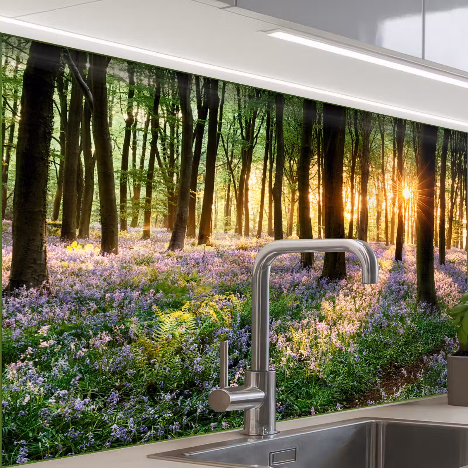 Crédence cuisine - Forêt - Fleurs - Lavande - Soleil - Pourpre - Nature — 1