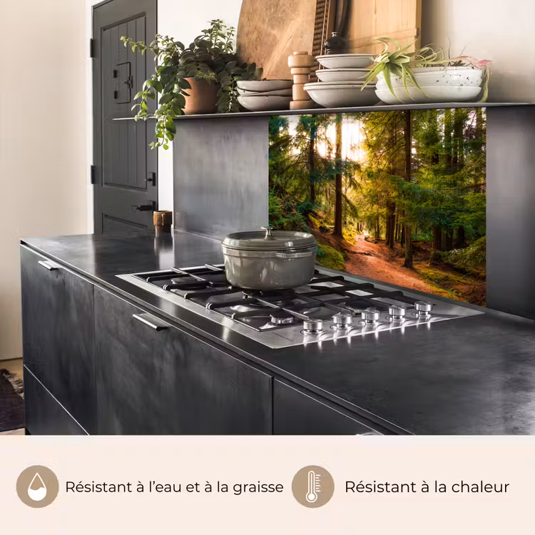 Crédence cuisine - Forêt - Chemin - Arbres - Vert - Soleil - Nature — 4