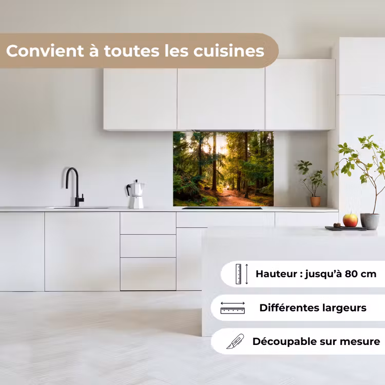 Crédence cuisine - Forêt - Chemin - Arbres - Vert - Soleil - Nature — 6