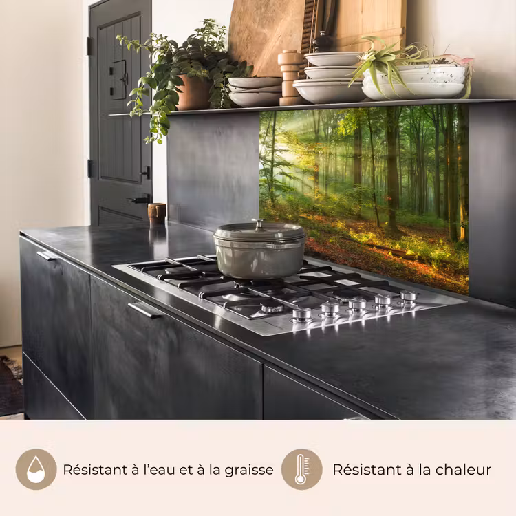 Crédence cuisine - Soleil - Forêt - Arbres - Nature - Automne — 4