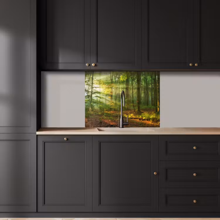 Crédence cuisine - Soleil - Forêt - Arbres - Nature - Automne — 5