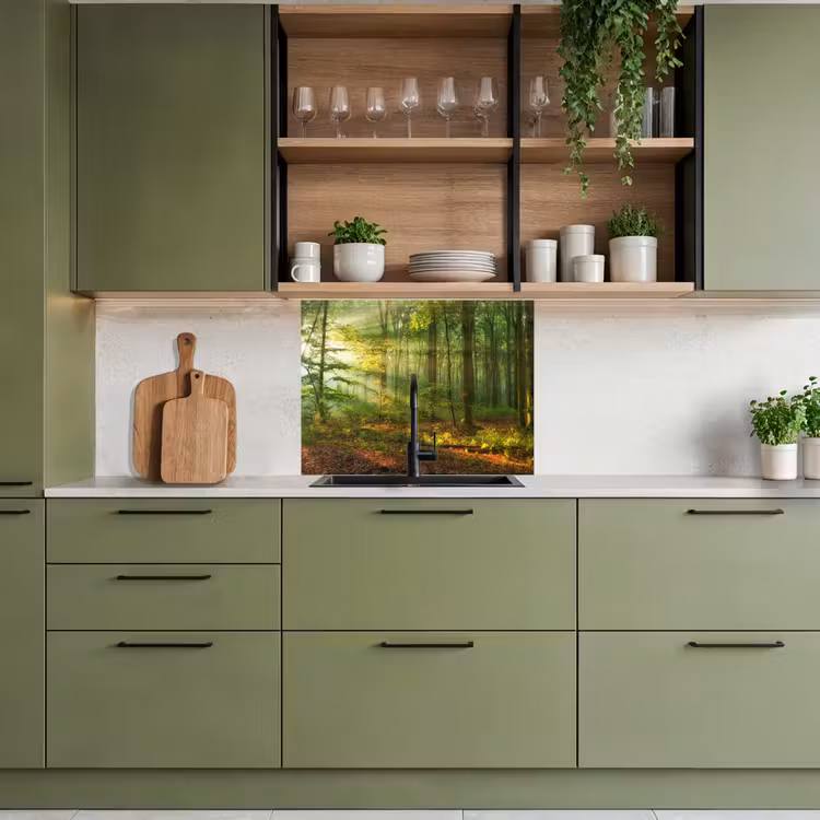Crédence cuisine - Soleil - Forêt - Arbres - Nature - Automne — 7
