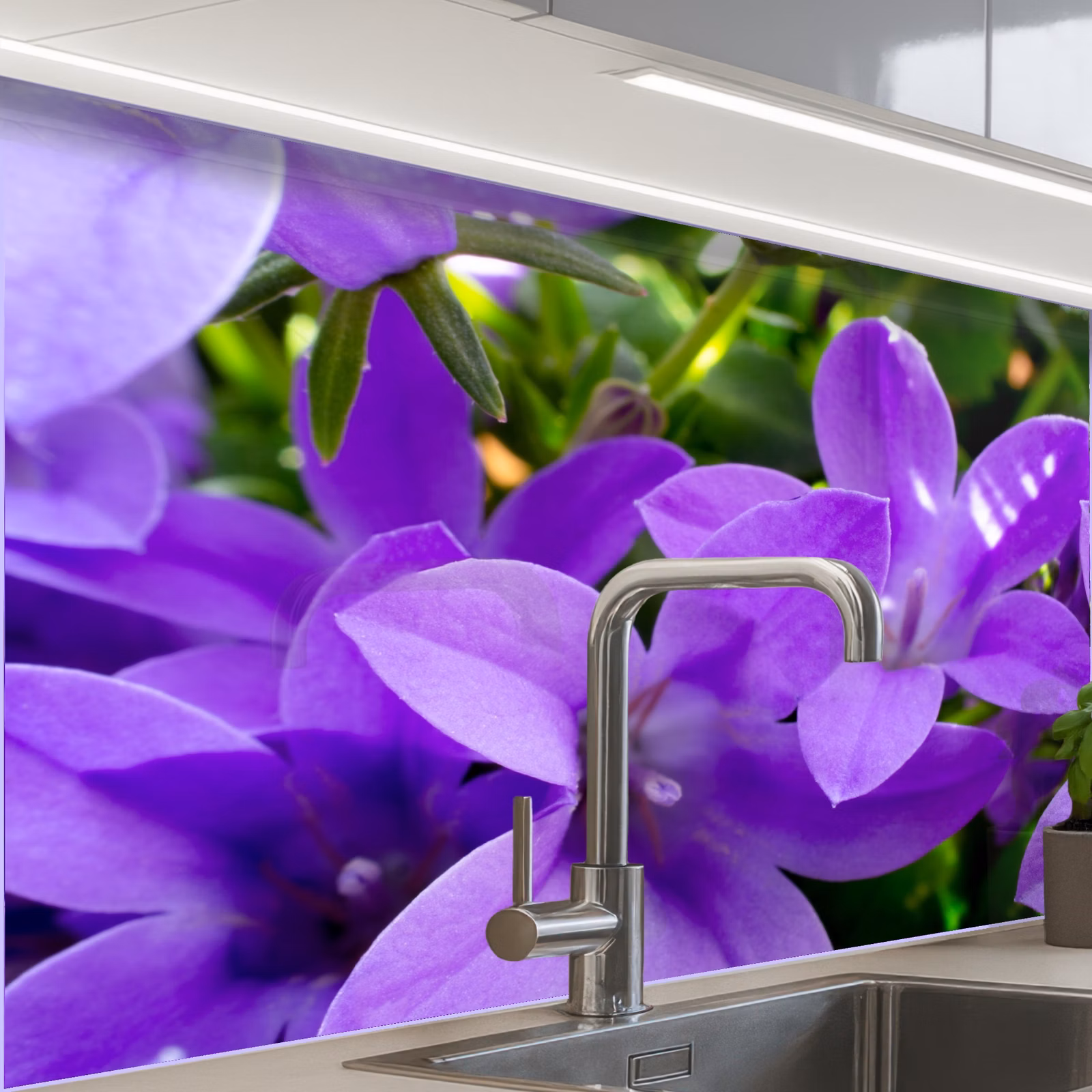 Crédence cuisine - Fleurs - Pourpre - Nature — 1