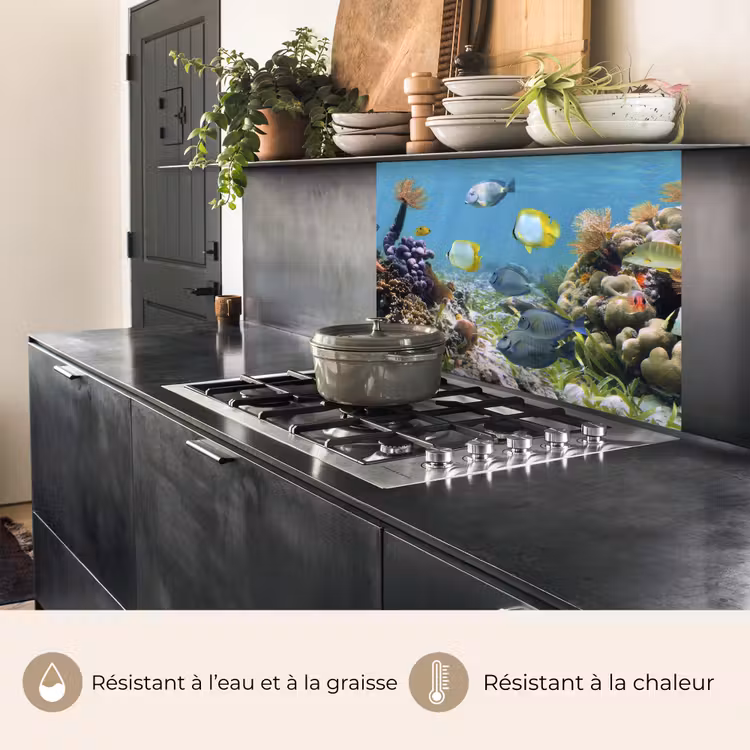 Crédence cuisine - Eau - Coraux - Poissons - Lumière — 4