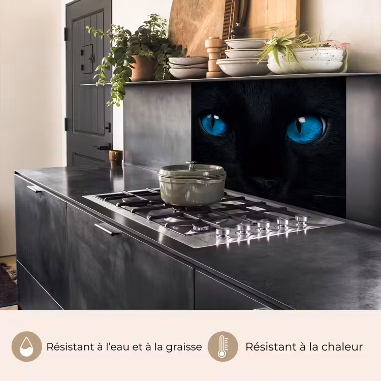 Crédence cuisine - Chat - Bleu - Animal - Noir — 4