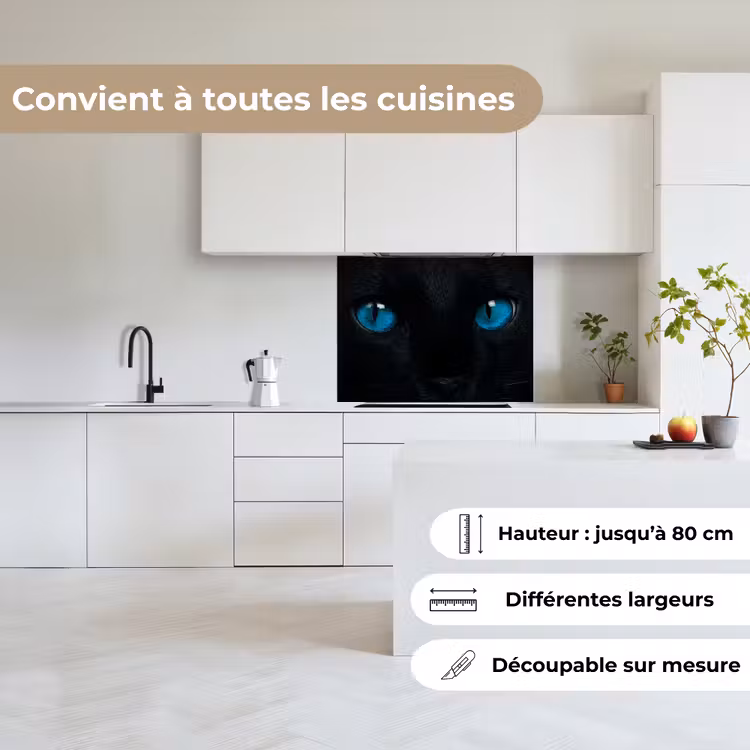 Crédence cuisine - Chat - Bleu - Animal - Noir — 6