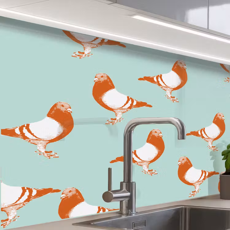 Crédence cuisine - Pigeon - Oiseau - Motif — 1
