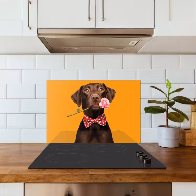 Fond de hotte - Chien - Orange - Rose - Valentin — 3