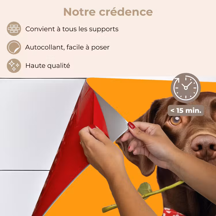 Fond de hotte - Chien - Orange - Rose - Valentin — 4