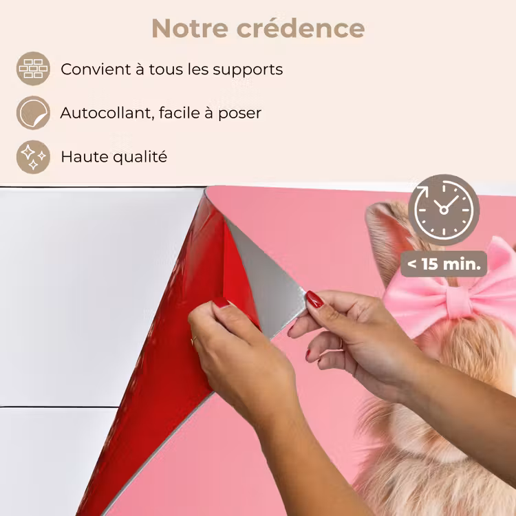 Fond de hotte - Arc - Discoball - Lapin — 4