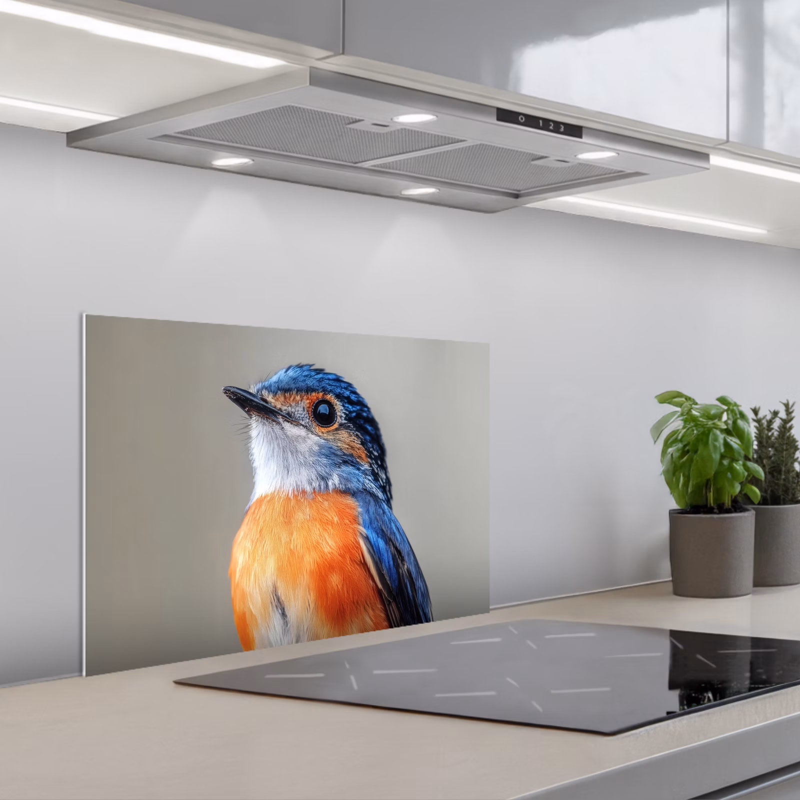 Fond de hotte - Coloré - Oiseau - Plumes - Bleu — 1
