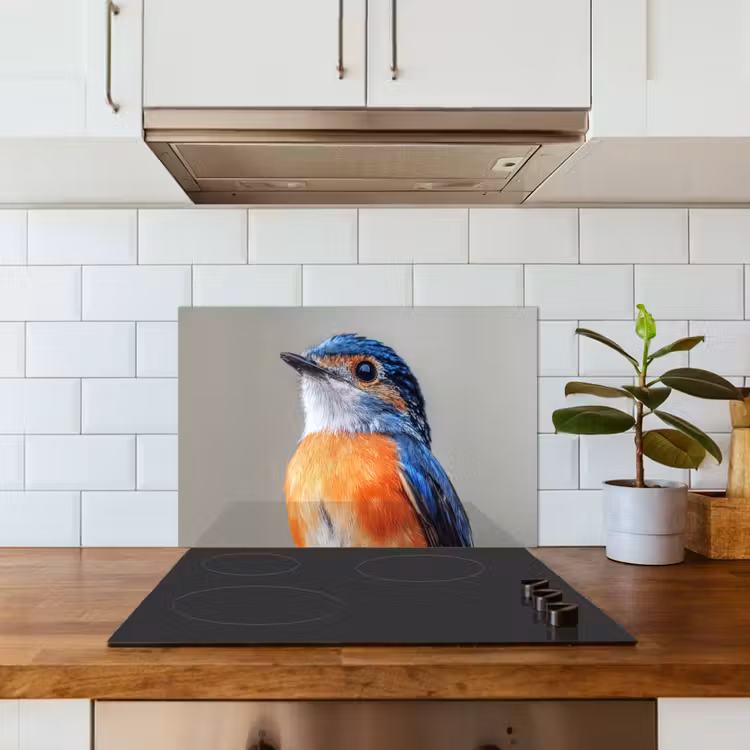 Fond de hotte - Coloré - Oiseau - Plumes - Bleu — 3