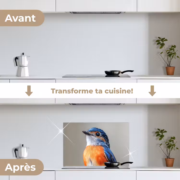 Fond de hotte - Coloré - Oiseau - Plumes - Bleu — 7