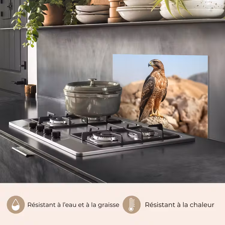 Fond de hotte - Faucon - Oiseau - Rocher - Puissance — 2