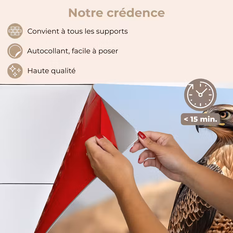 Fond de hotte - Faucon - Oiseau - Rocher - Puissance — 4