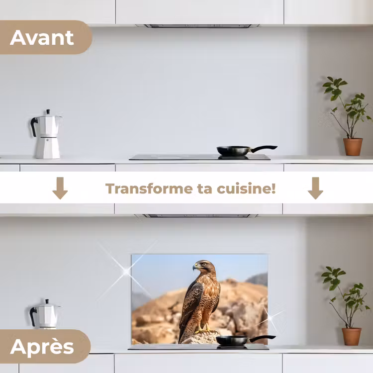 Fond de hotte - Faucon - Oiseau - Rocher - Puissance — 7