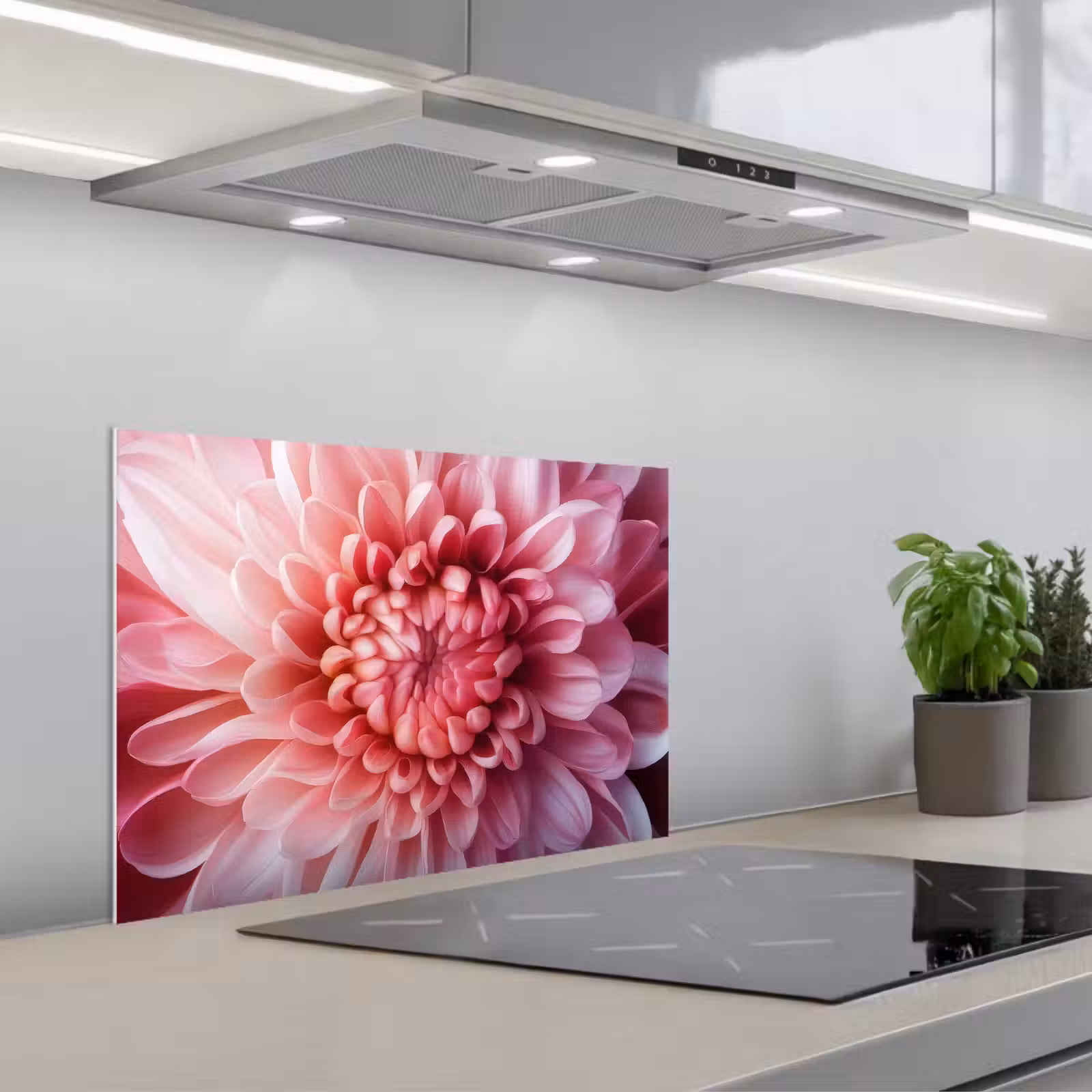 Fond de hotte - Dahlia - Fleur - Gros plan - Rose — 1